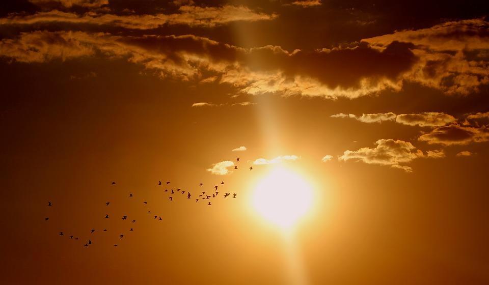 Energía solar térmica: Sistema de captación de radiación solar