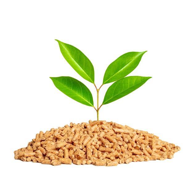Biomasa. Sostenible y eficiente