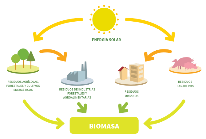 biomasa-terrassa
